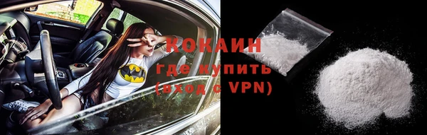 прущие грибы Киров