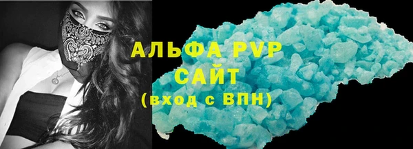 прущие грибы Киров