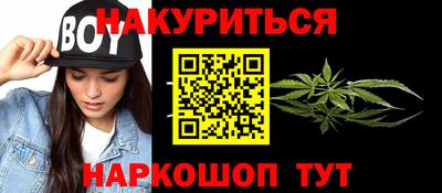 spice Гай