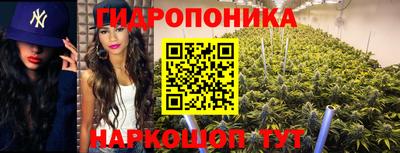 спайс Гатчина