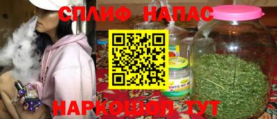 spice Гай