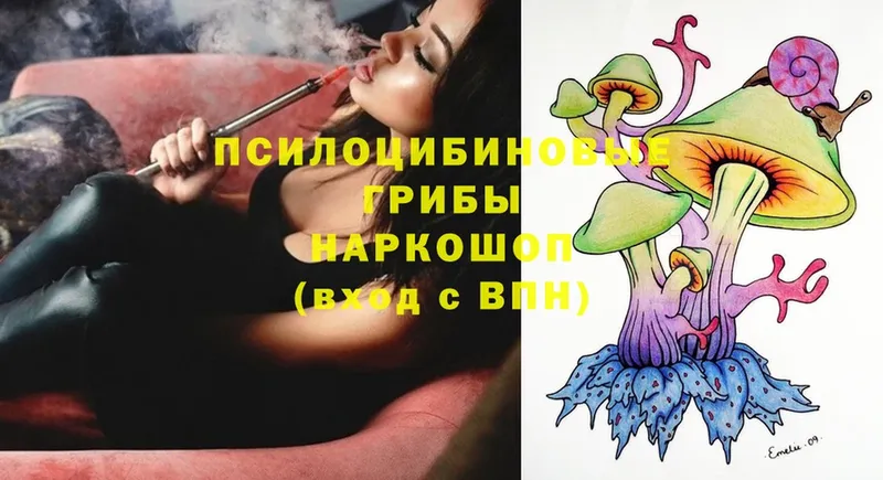 где продают   Улан-Удэ  Галлюциногенные грибы Psilocybe 