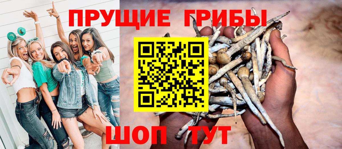 Улан-Удэ  Псилоцибиновые грибы Psilocybe  Вход с VPN 