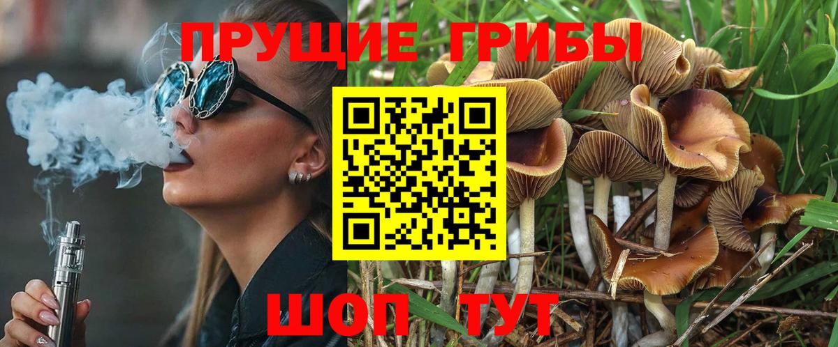 Галлюциногенные грибы GOLDEN TEACHER Улан-Удэ